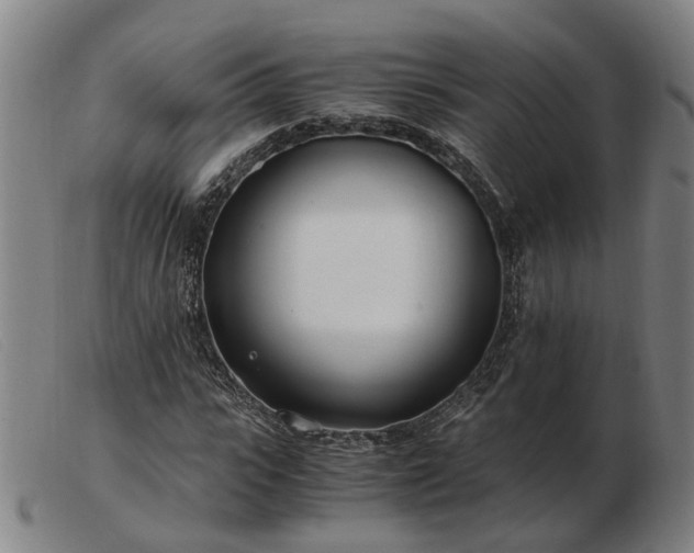 X0000103480919200809191855