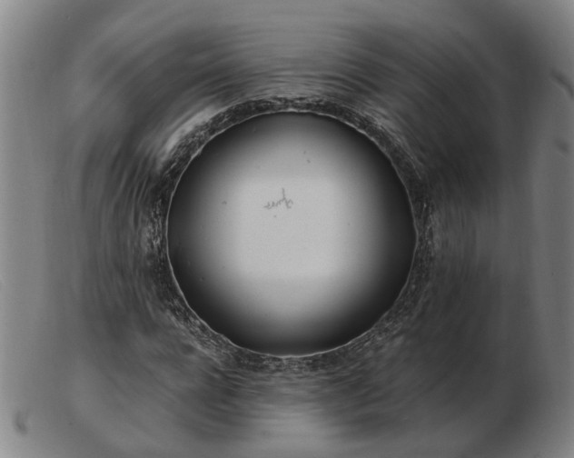 X0000103480920200809191855
