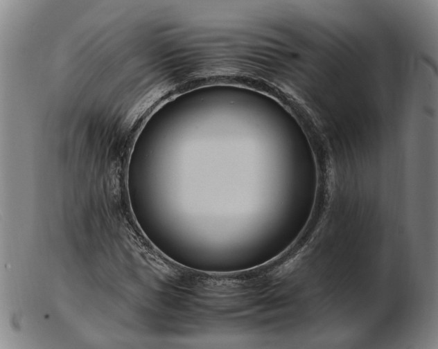 X0000103480921200809191855