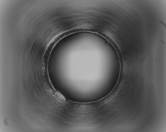 X0000103480923200809191856