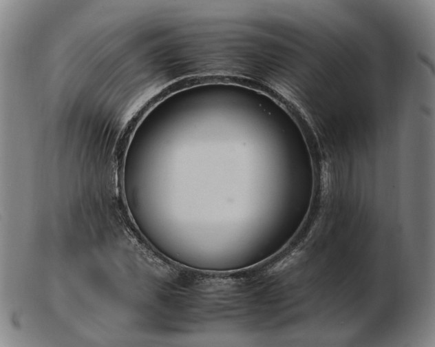 X0000103480925200809191856