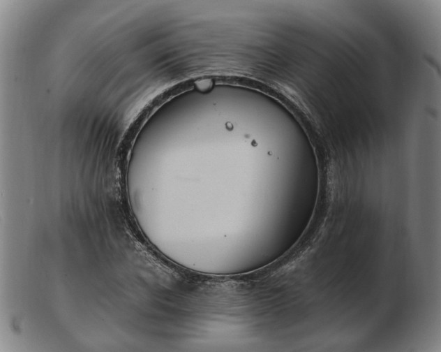 X0000103480926200809191856