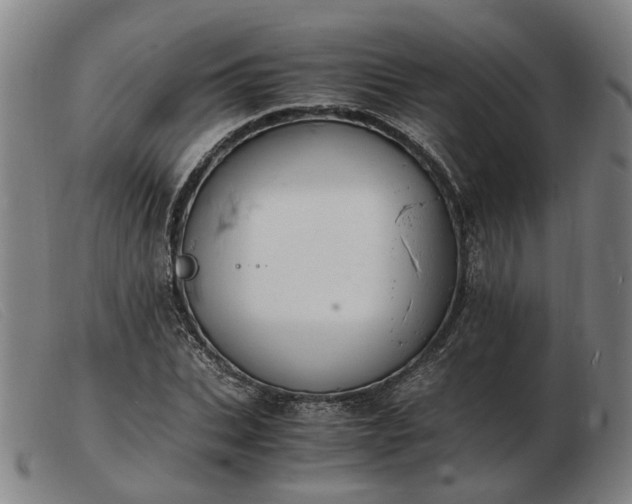 X0000103480927200809191856