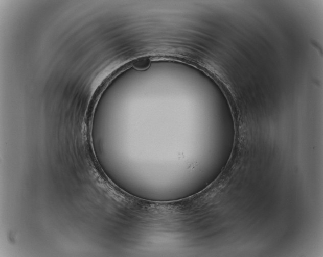 X0000103480928200809191856