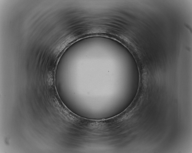 X0000103480929200809191856