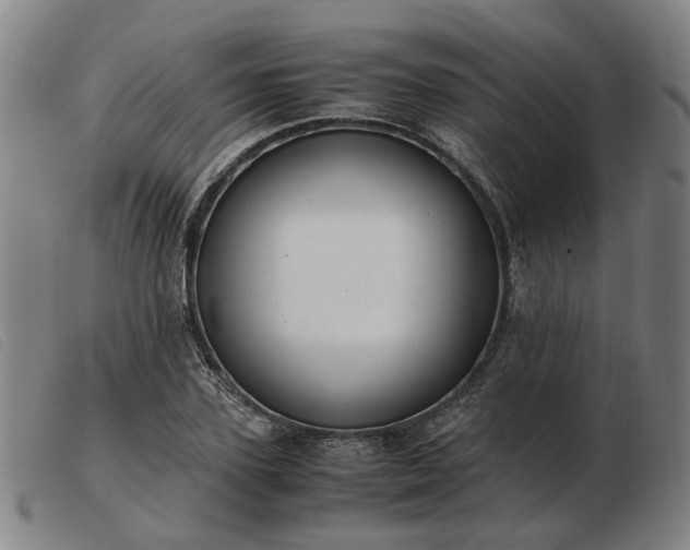 X0000103480931200809191856