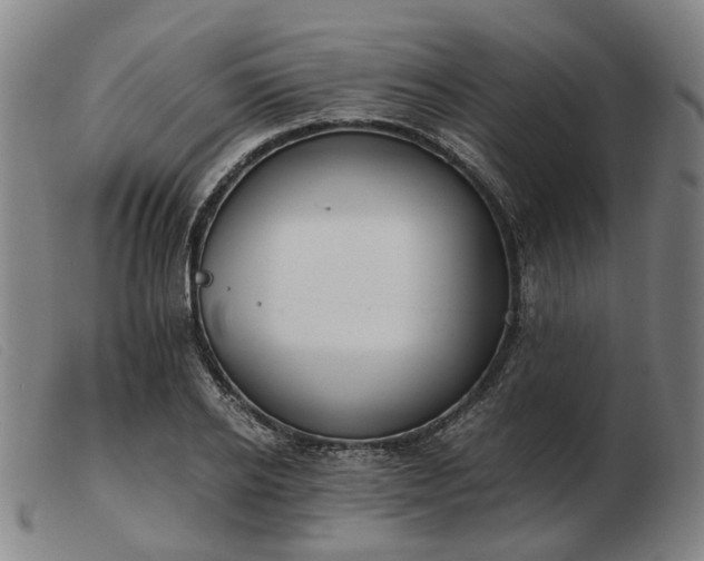 X0000103480934200809191856
