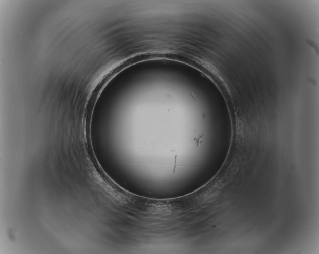 X0000103480935200809191856