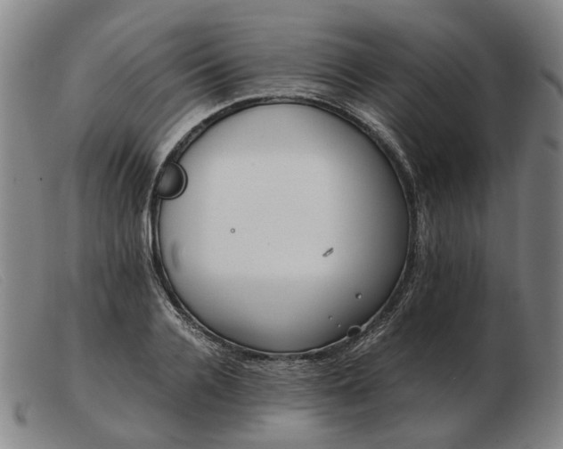 X0000103480936200809191856