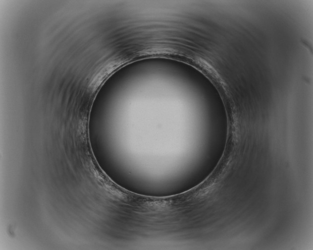 X0000103480937200809191856