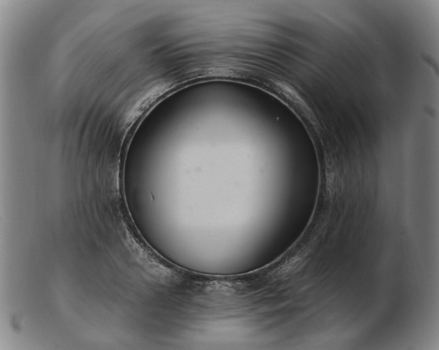 X0000103480938200809191856