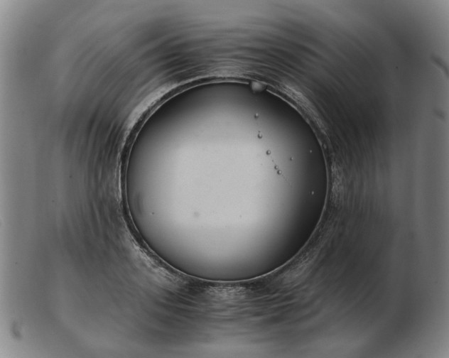 X0000103480939200809191856