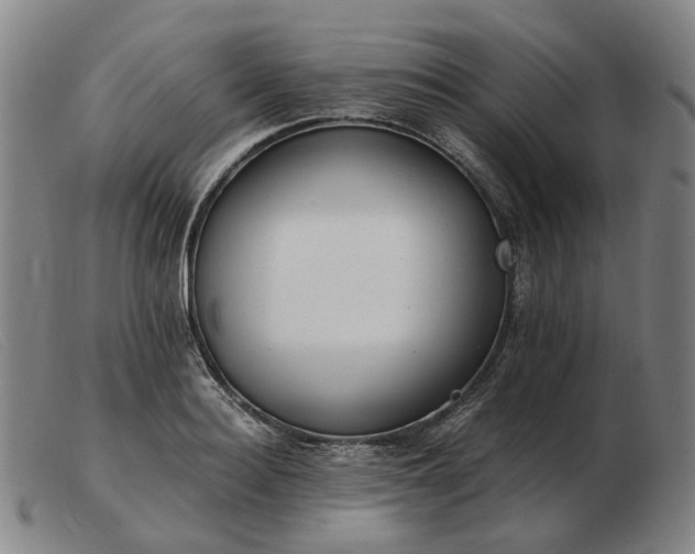 X0000103480940200809191856