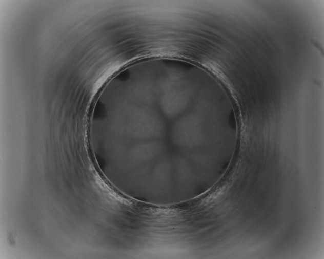 X0000103480941200809191856
