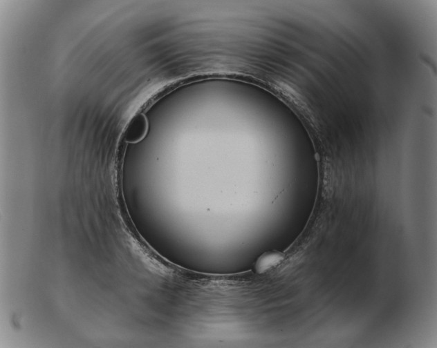 X0000103480942200809191856