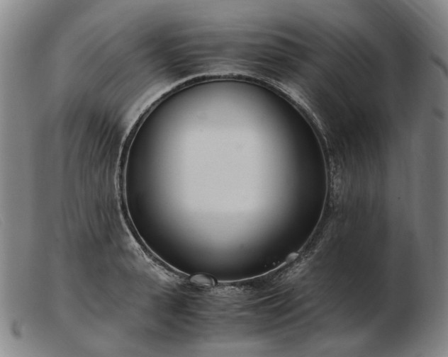 X0000103480943200809191856