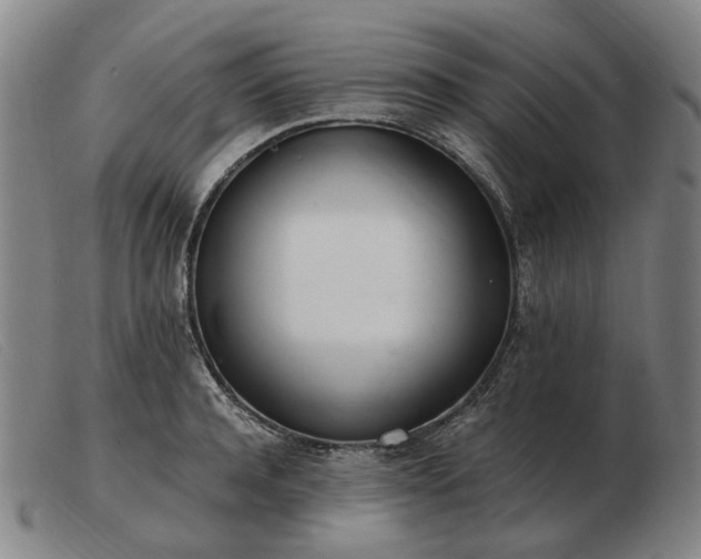X0000103480944200809191856