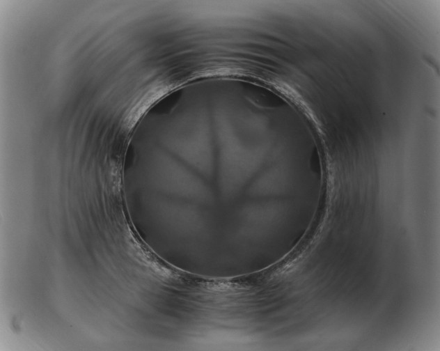X0000103480945200809191856
