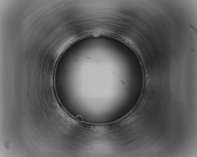 X0000103480946200809191856