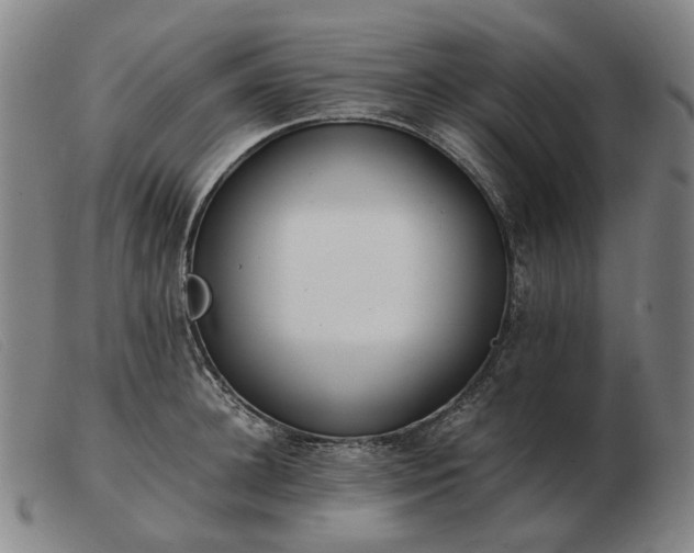 X0000103480948200809191856