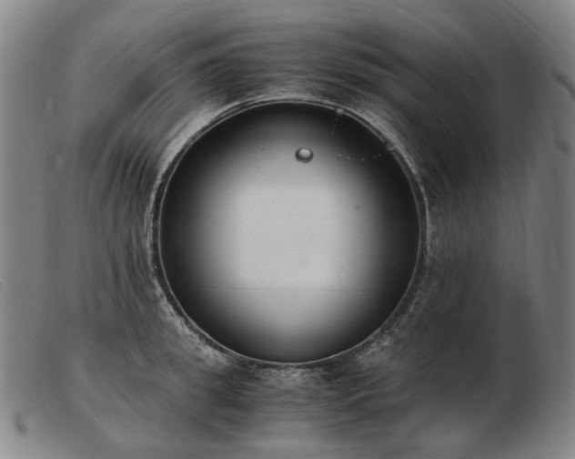 X0000103480949200809191856