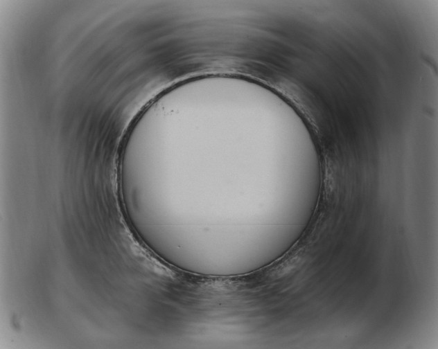 X0000103480950200809191856