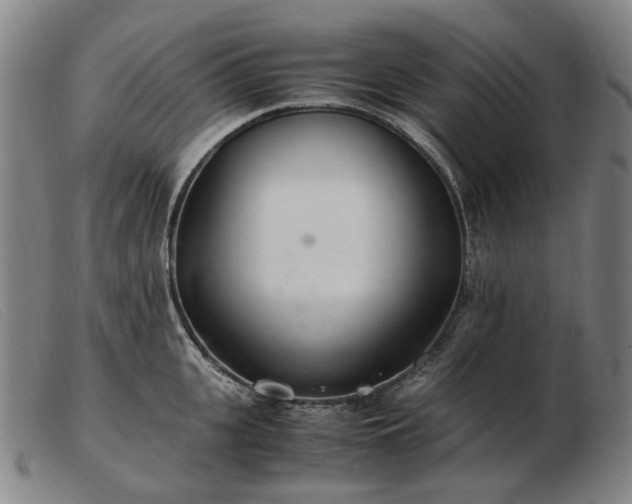 X0000103480951200809191856