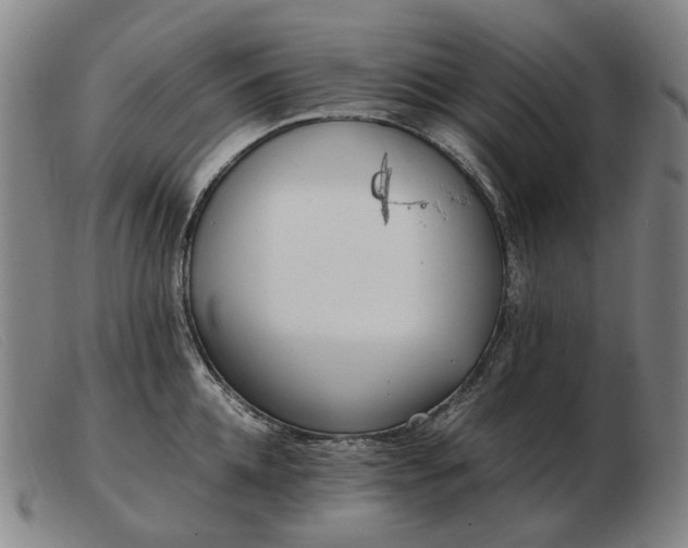 X0000103480952200809191856