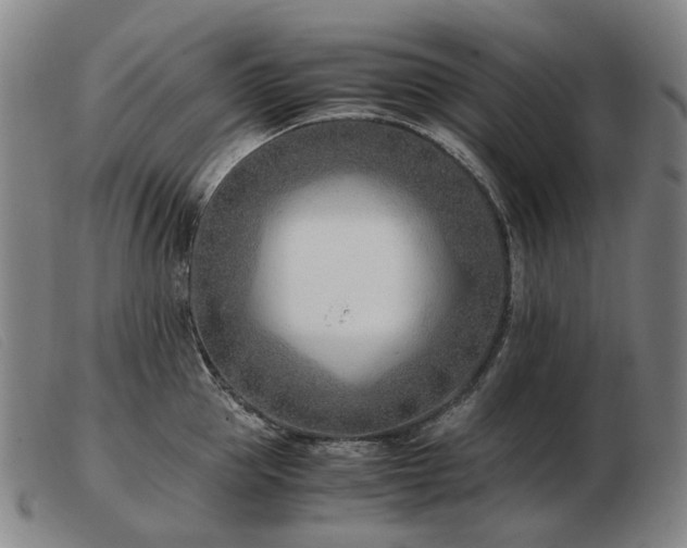 X0000103480953200809191856
