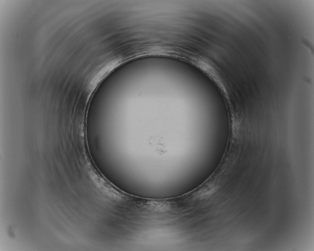 X0000103480954200809191856