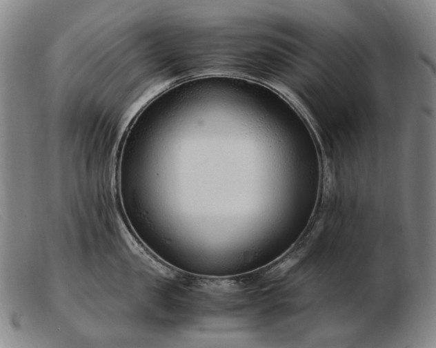 X0000103480957200809191856