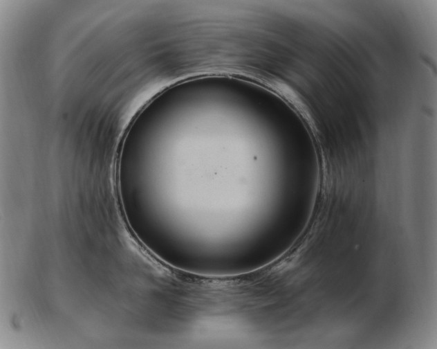 X0000103480958200809191856