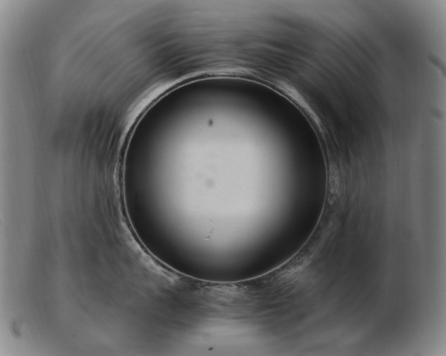 X0000103480959200809191856