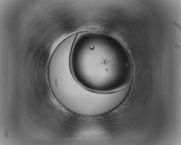 X0000103480960200809191856