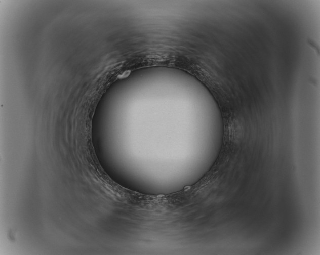 X0000103480961200809191855