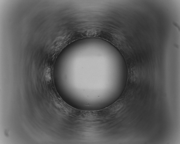 X0000103480962200809191855