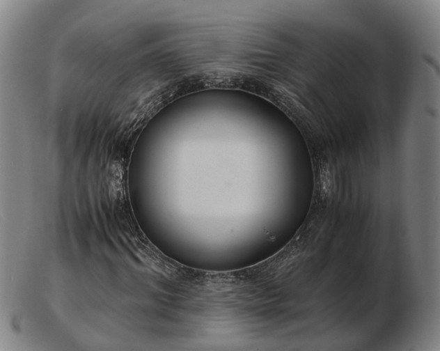 X0000103480964200809191855
