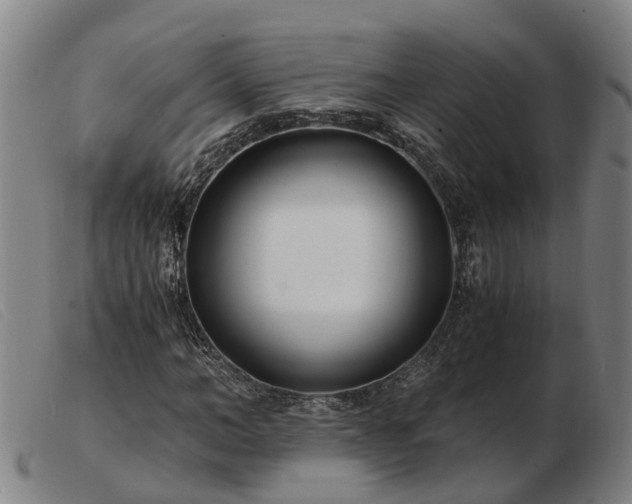 X0000103480966200809191855