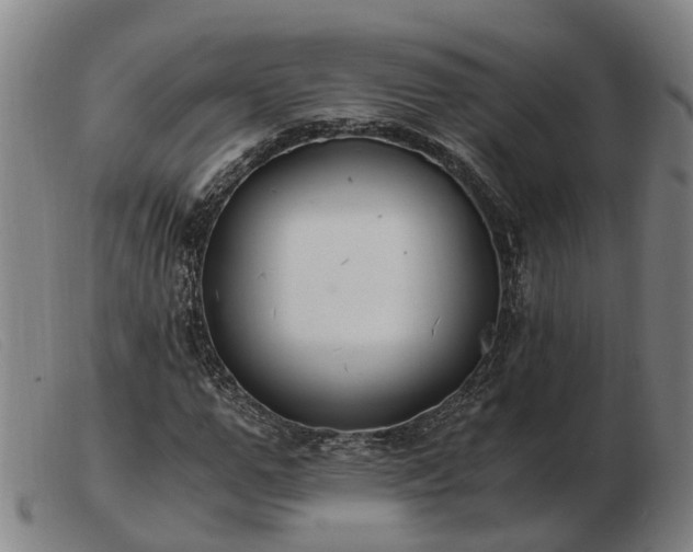 X0000103480967200809191855