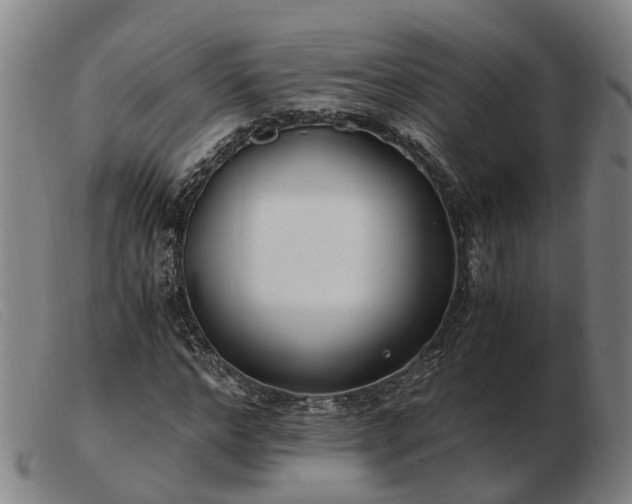 X0000103480968200809191855