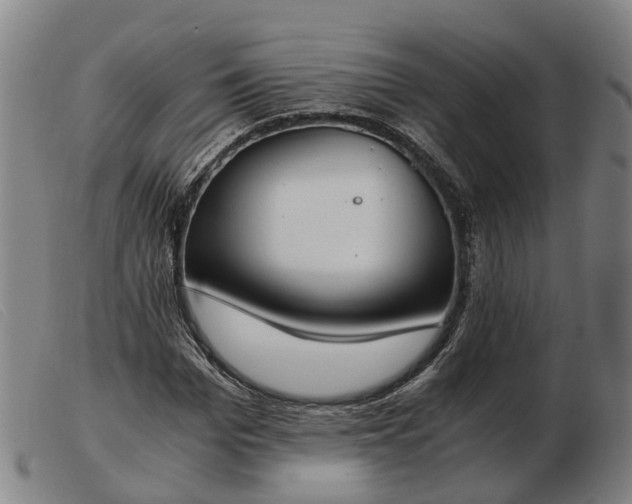 X0000103480969200809191855