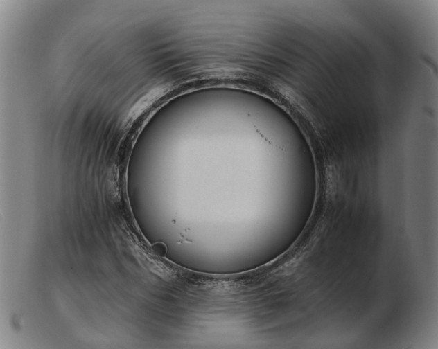 X0000103480970200809191855