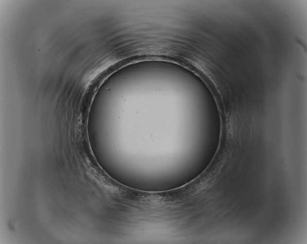 X0000103480971200809191855
