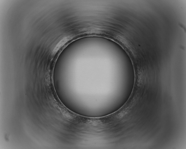 X0000103480978200809191855