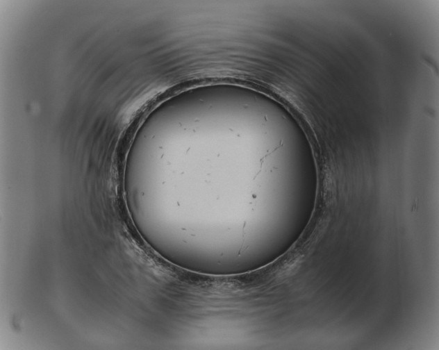 X0000103480979200809191855