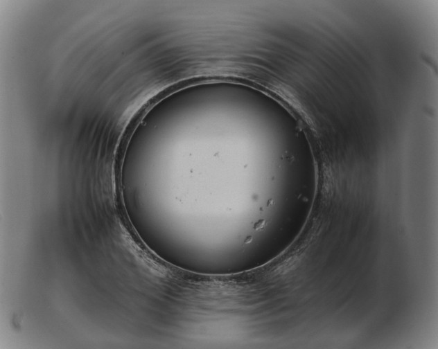 X0000103480980200809191855