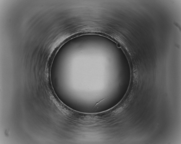 X0000103480981200809191855