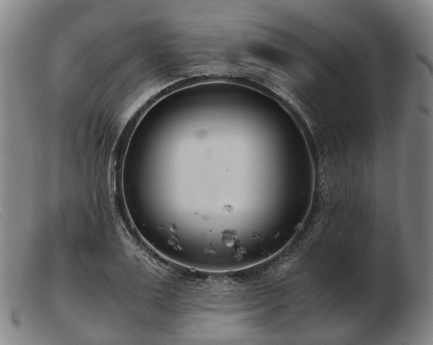 X0000103480983200809191855