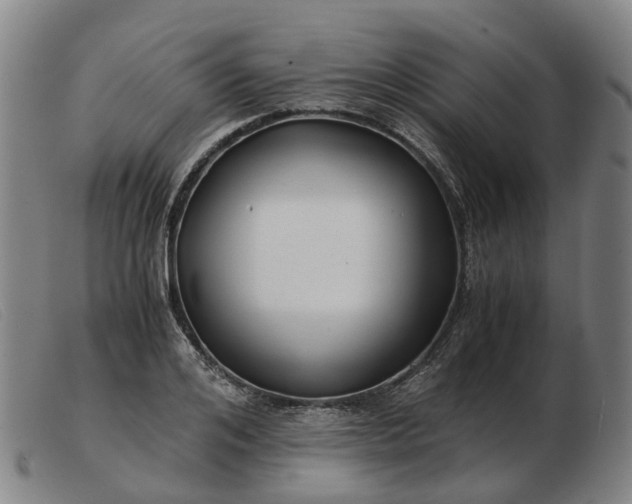 X0000103480984200809191855