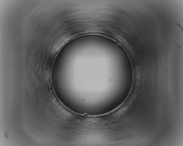 X0000103480985200809191855